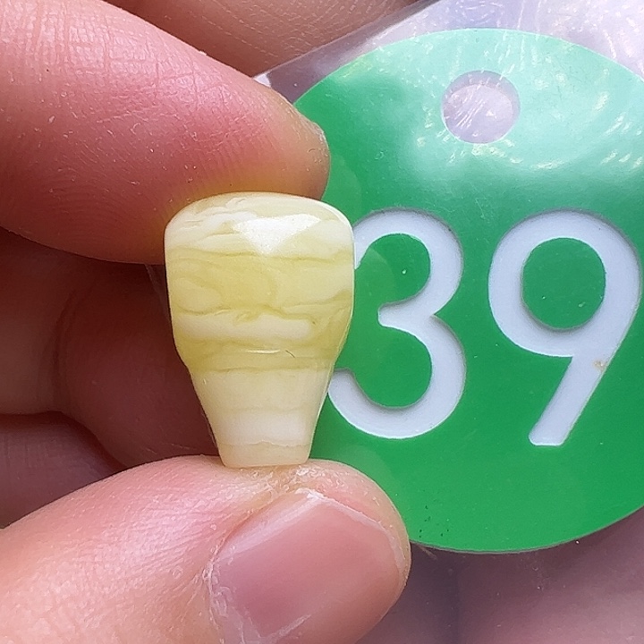 蜜蜡未镶嵌珠宝奇石10.8m m