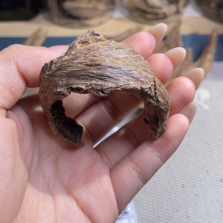 童***稚沉香越南纽结土埋6克