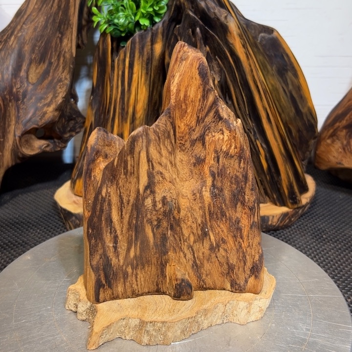 此***景木直播间一物一拍