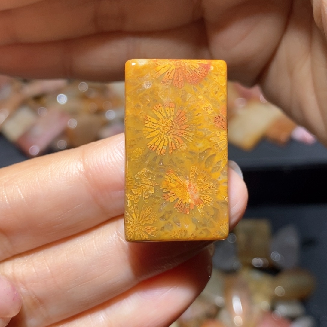 【闪购商品】硅化玉颈饰未镶嵌