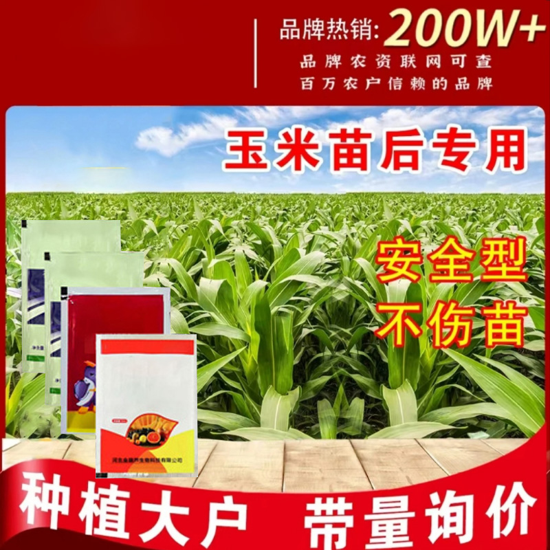 2玉米田甘蔗不伤农作物不影响正常生长有机肥料
