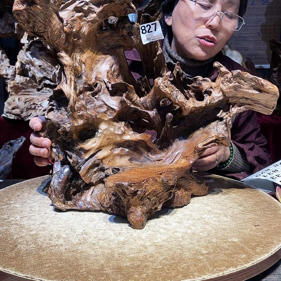 悟***坑827。株木随行根艺