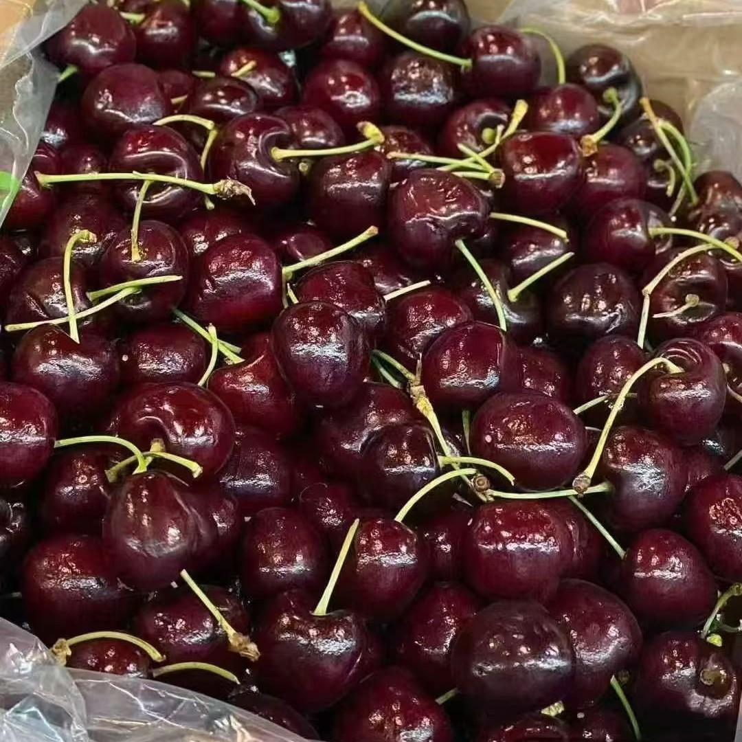 海运JJ桑缇娜车厘子5斤(原装箱，15颗内机械伤NO售后，介意慎拍)