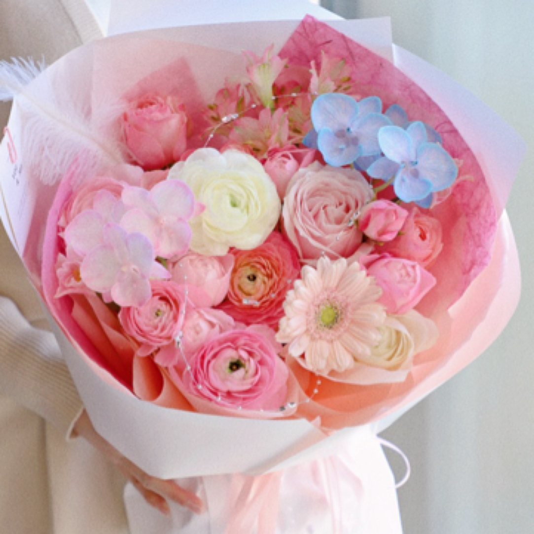 青春舞动少女之花