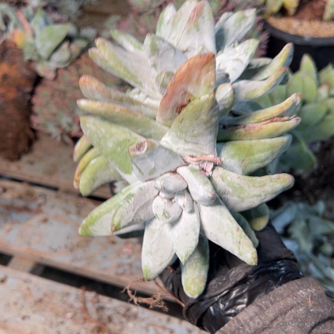 8930哈哈哈哈哈哈哈哈