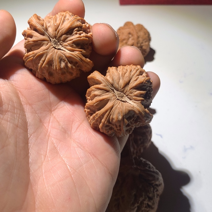 把件文玩核桃y白狮子