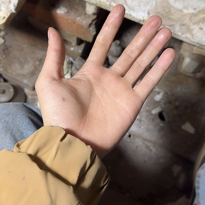 (***头紫泥茶壶坭兴陶柴烧