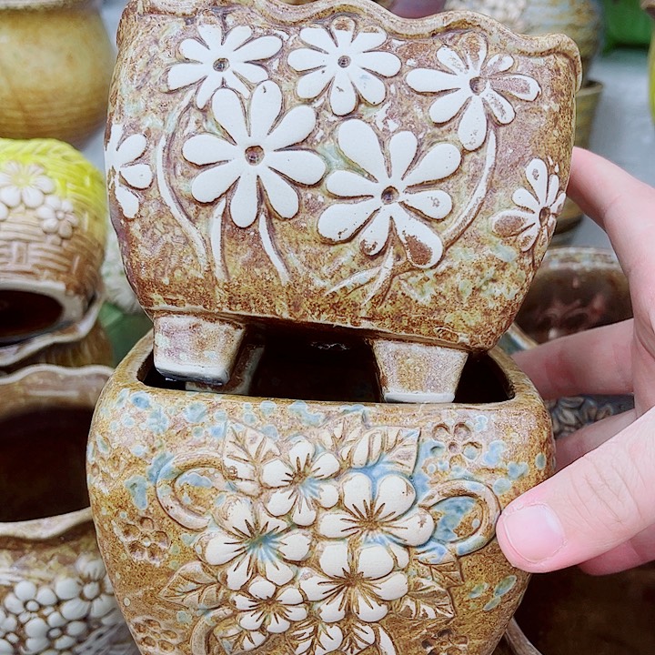 多肉植物陶瓷花盆