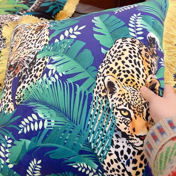 高货摆件收纳45绿植