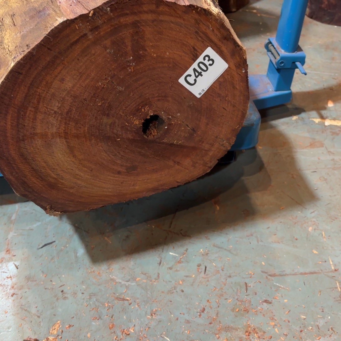 ****️绿泥一物一拍血檀编码403