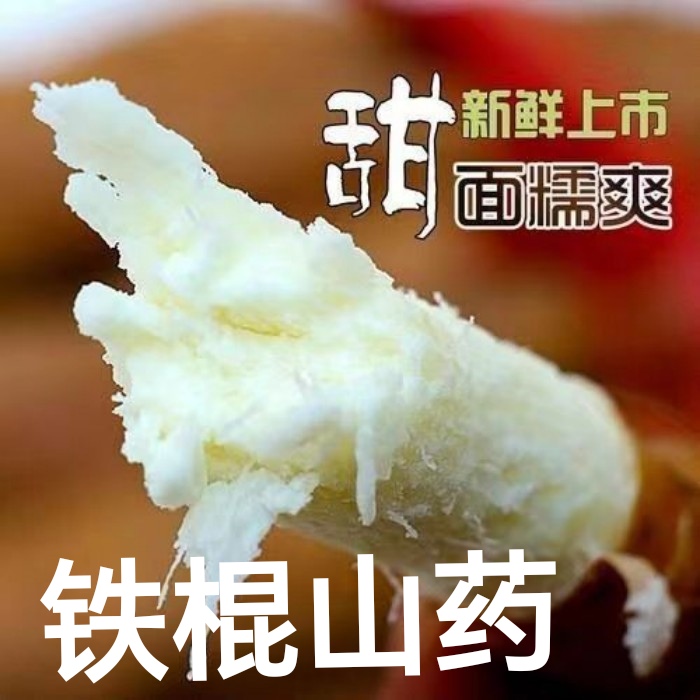 试吃小果正宗垆土种植铁棍山药现采挖非常粉糯柔软产地直销