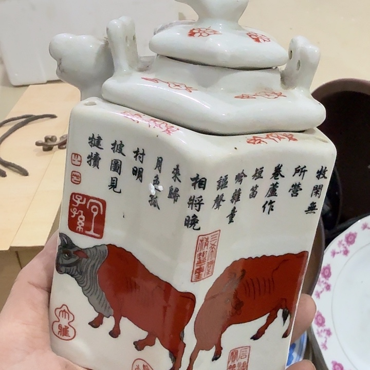 A***5扇子吃g个哈哈哥哥好刚果共和国个