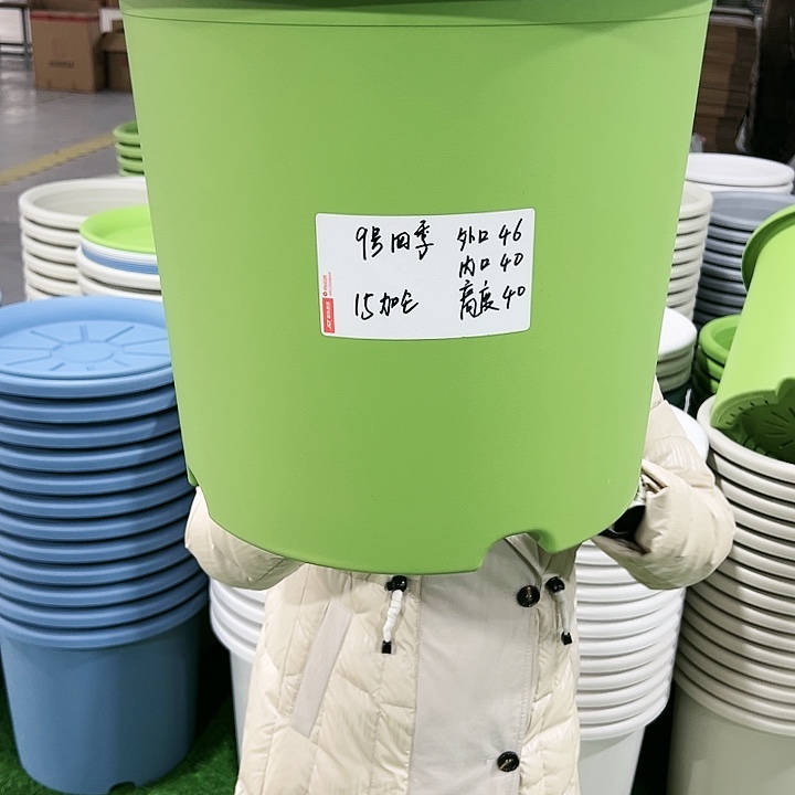 特价9号四季口46高40果绿无托4只