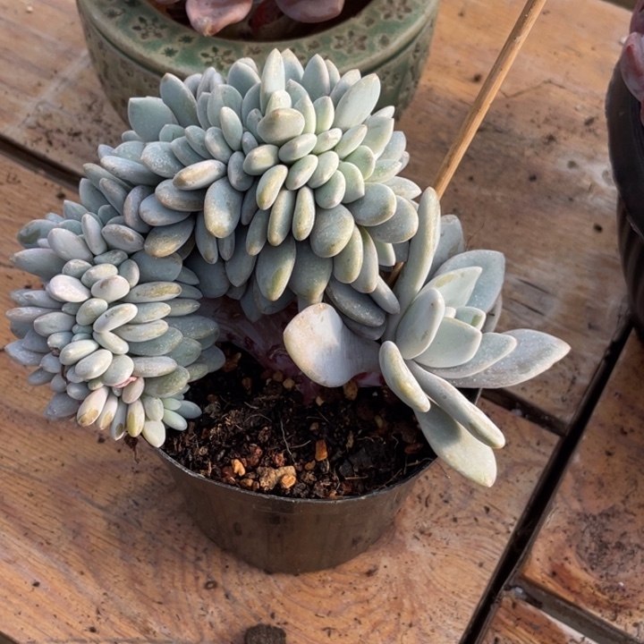 哈哈哈哈哈哈哈771