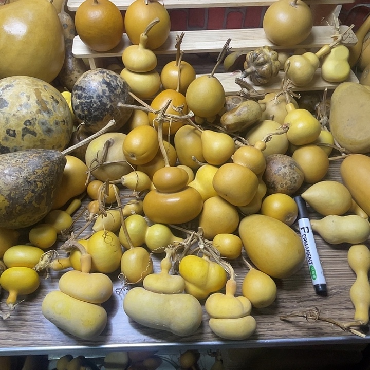 T***n哈哈哈哈哈哈哈哈哈哈哈哈