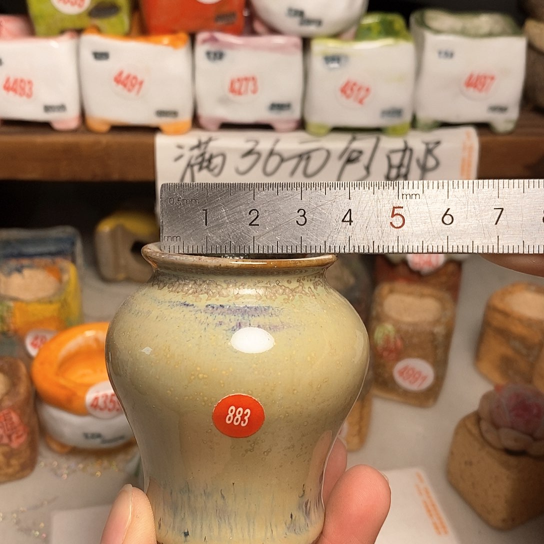 红陶拍5送一个小