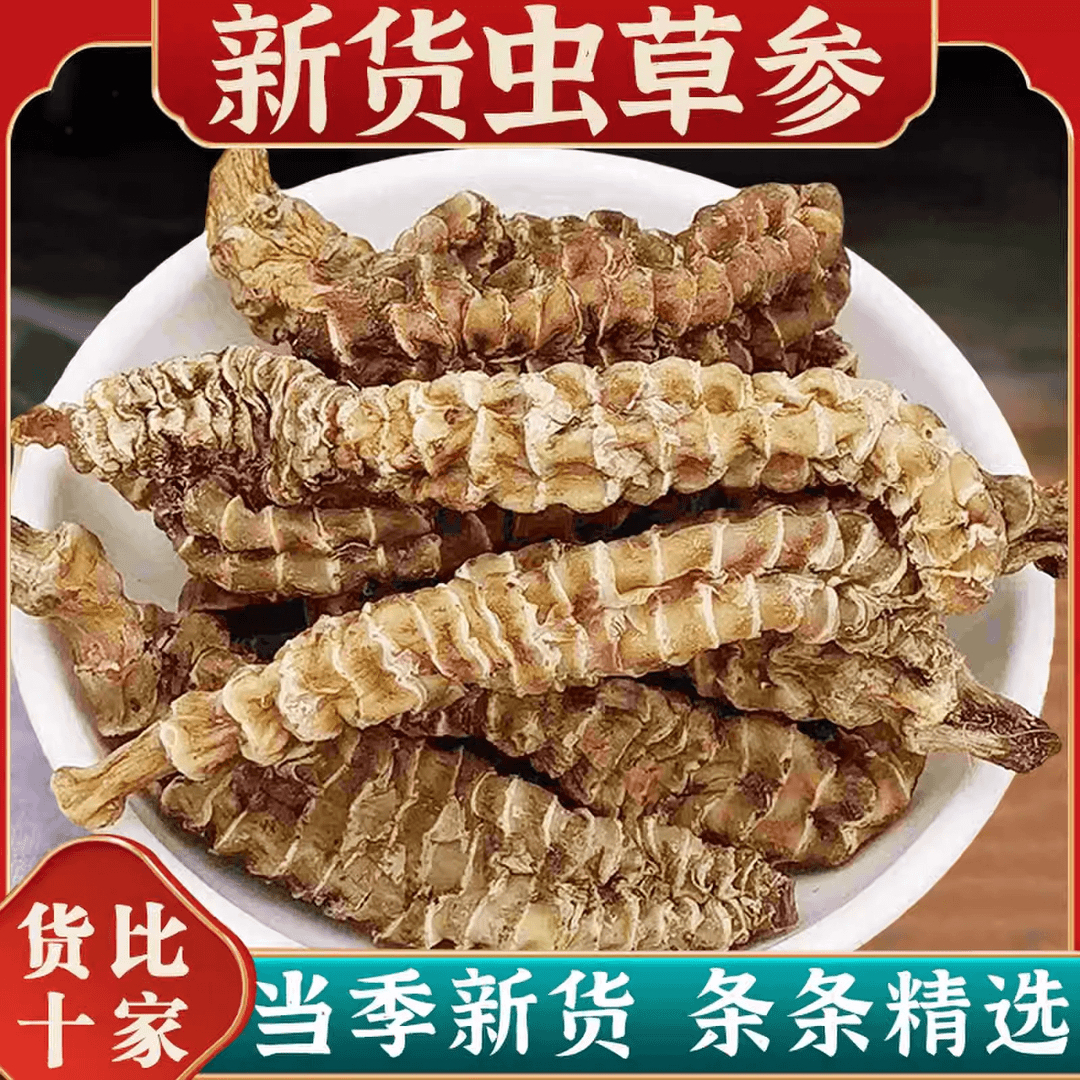 虫草参地参干货煲汤泡酒佳品白竹节参草石蚕顶天柱