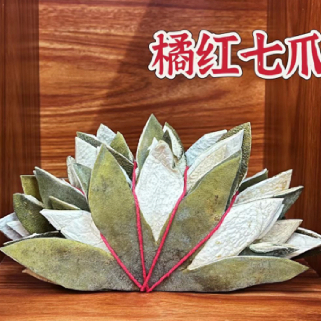 橘梓化橘红*10年陈小七爪皮（10片/捆）