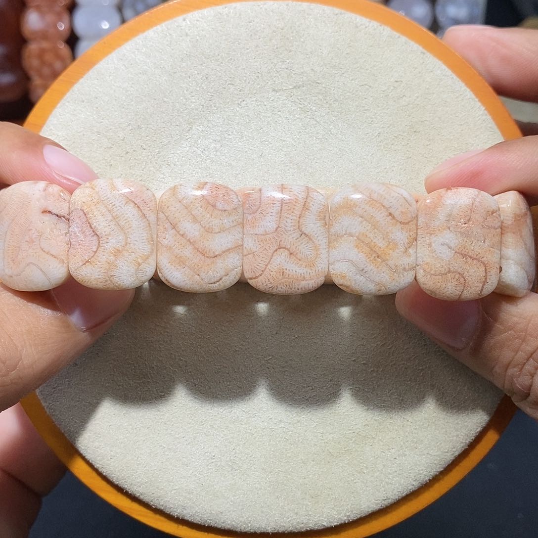 硅化珊瑚（珊瑚玉）手串未镶嵌脑纹稀有骨骼21