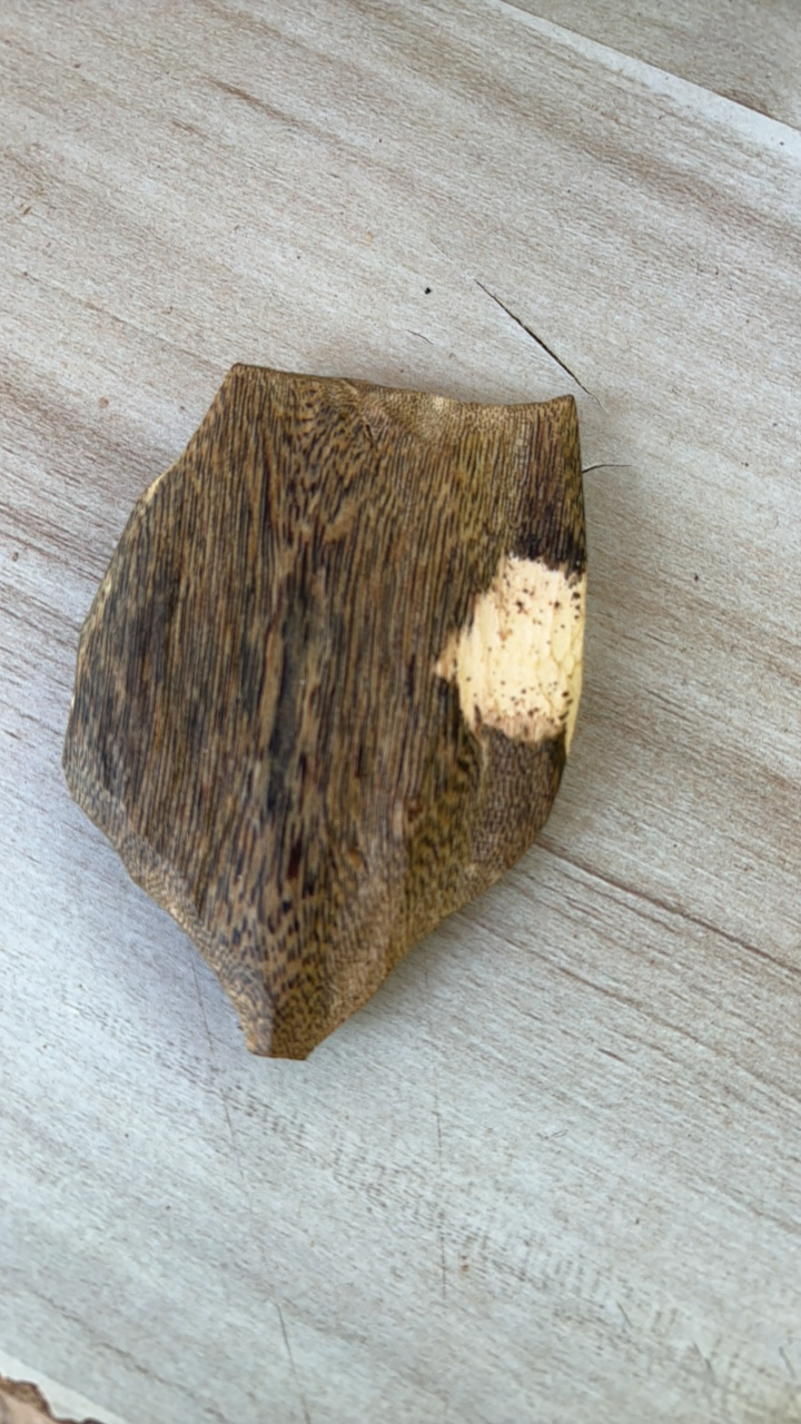 思品沉香 绿棋楠原料 31克 多样性发一