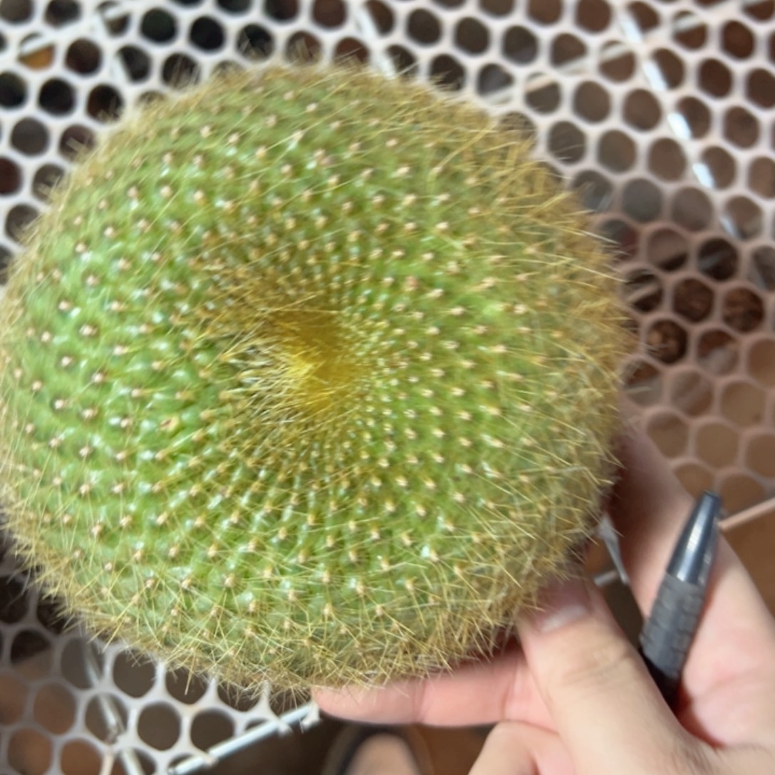 乌***帮哈哈哈哈哈哈哈哈哈哈