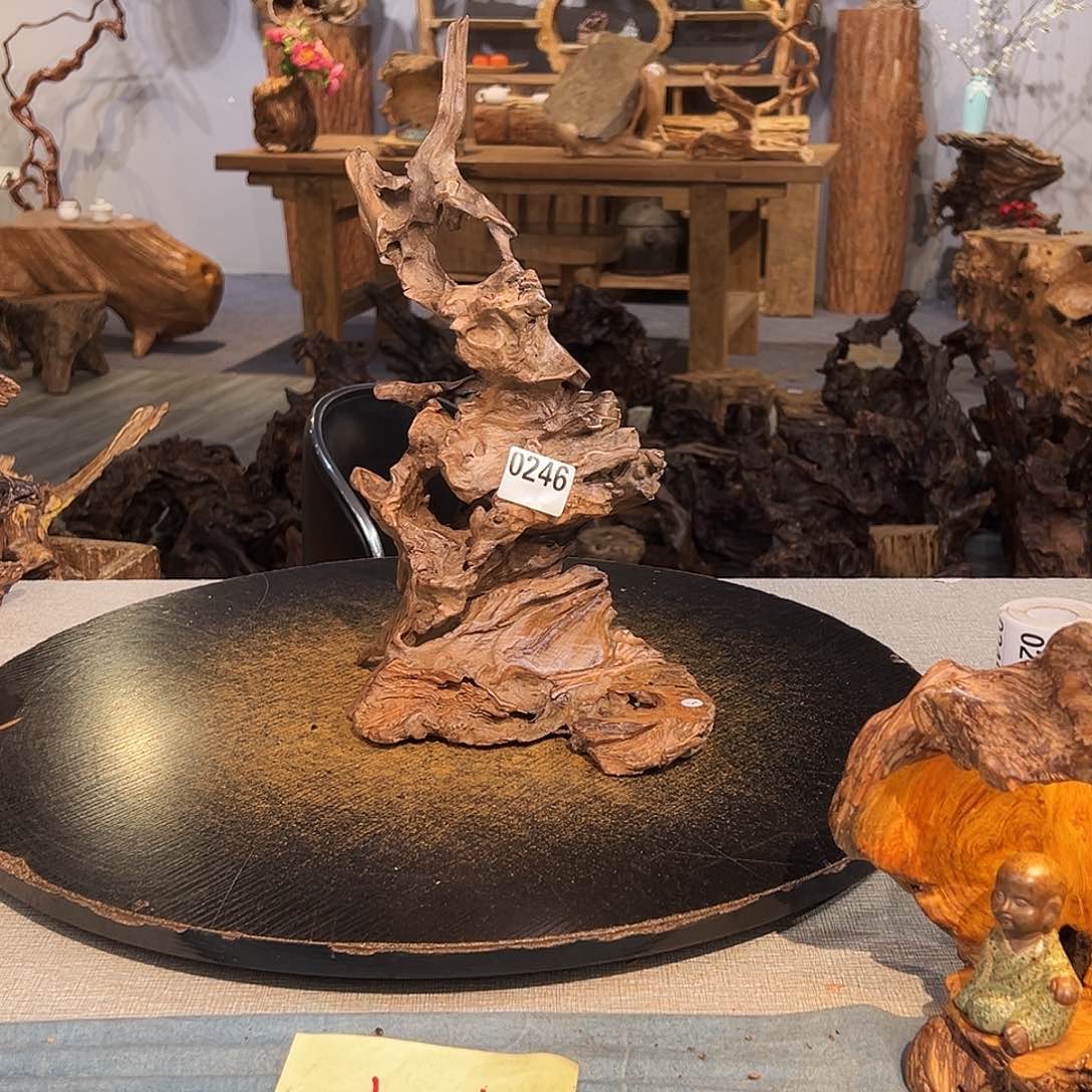 木燕*246s t f h ghj jb