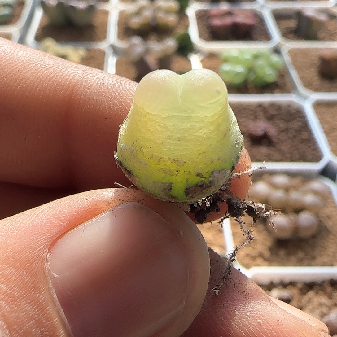 哈哈哈哈哈哈哈56080