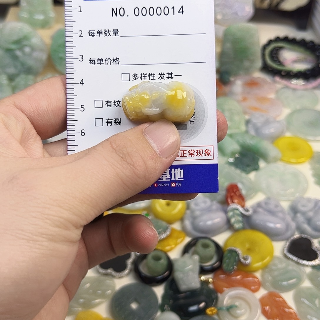 翡翠未镶嵌颈饰hhh