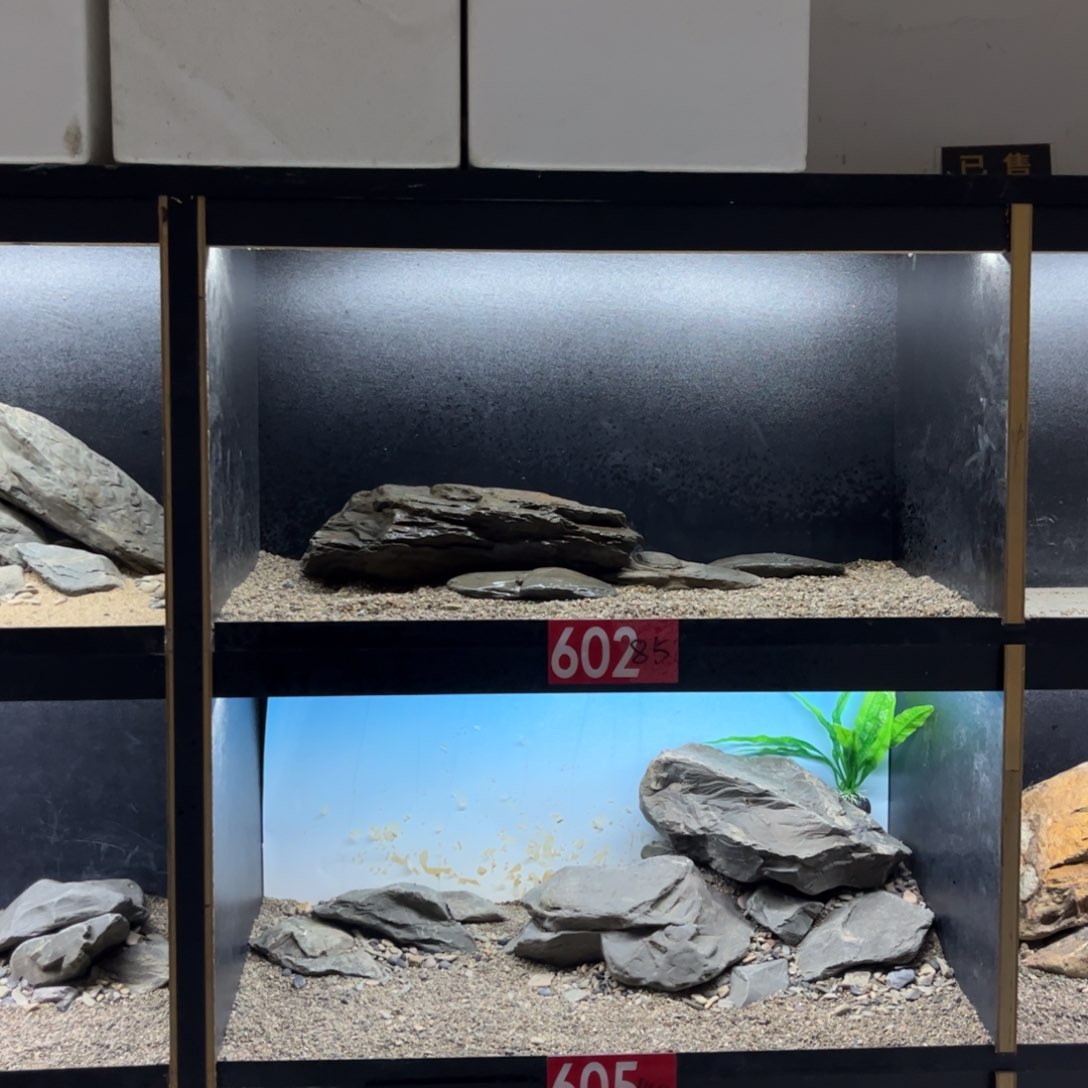 晴*、60211111111111111