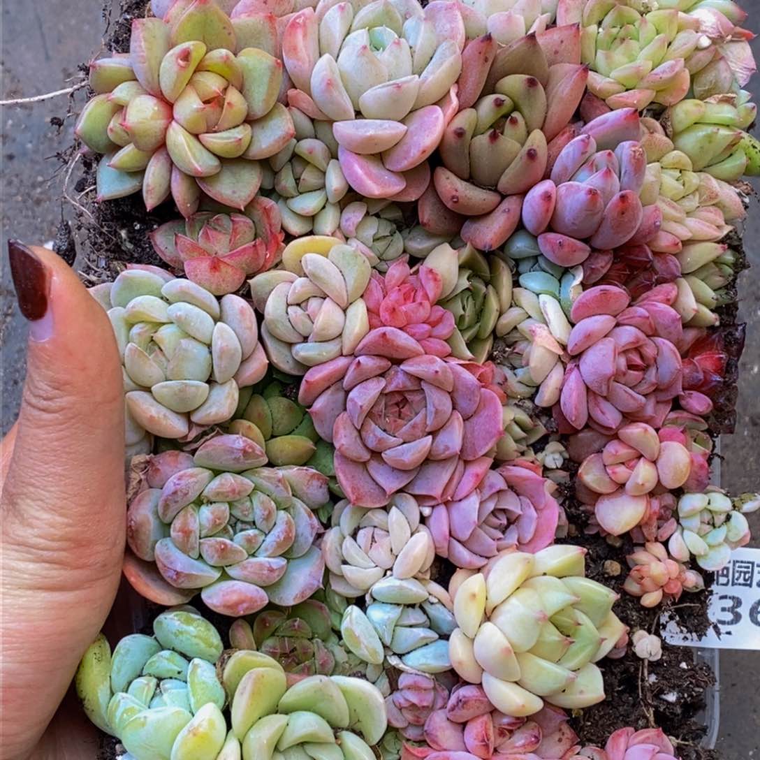 136多人在一起的时候就