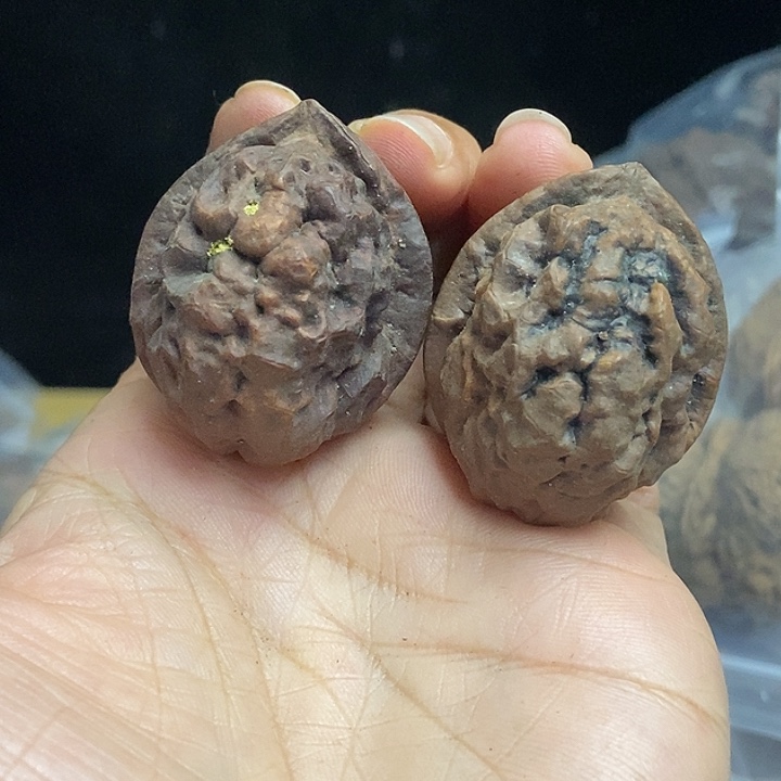 把件文玩核桃云南铁核桃基地91