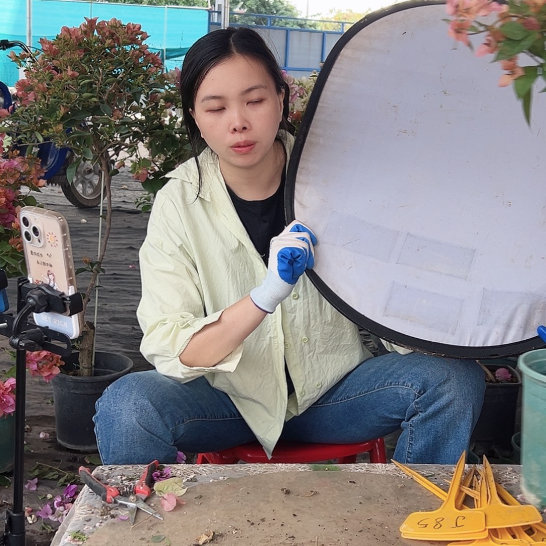 静****大部分花苞少量开放J36金发