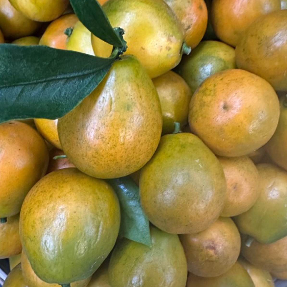 农户自种当季水果