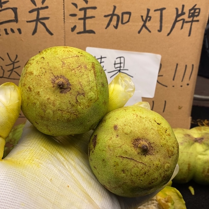 文玩核桃青皮 矮桩官帽