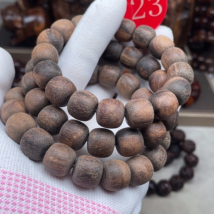 贡木其他多样性发