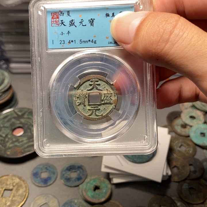 天盛元宝西夏某某