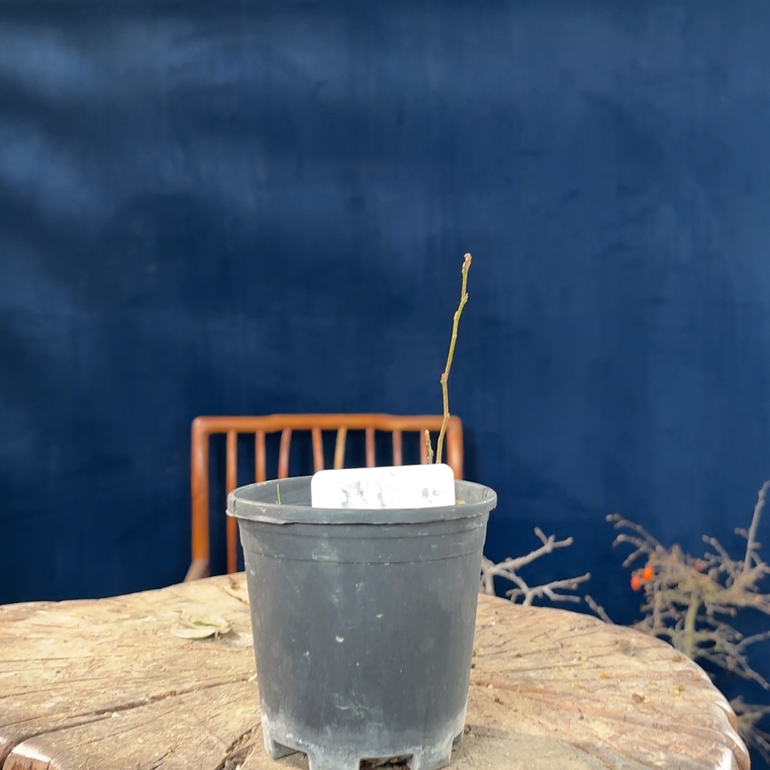 道***然哈哈哈哈哈哈哈哈，哈哈