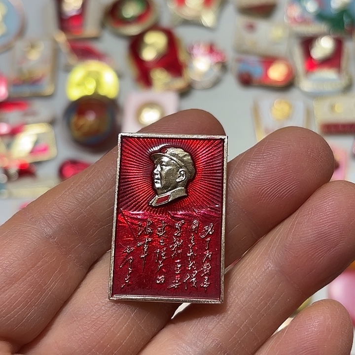 用***6其他普通金属纪念章