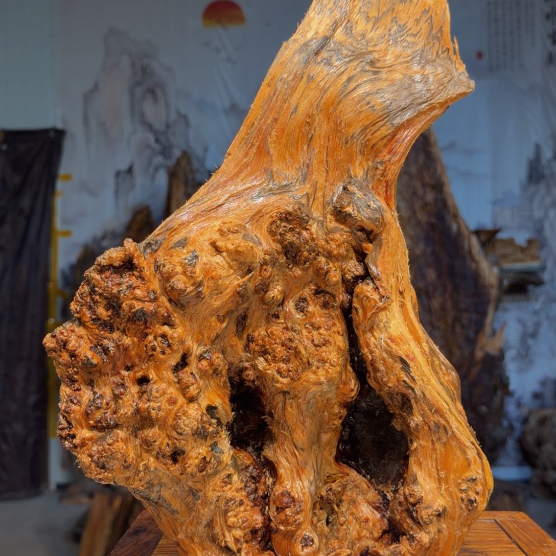 光***焰木三丰琥珀木 天然摆件48