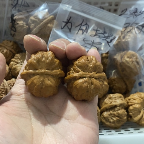 Z***s文玩核桃把件哈哈哈哈