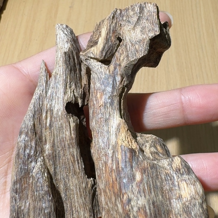 楠木广西虫漏块料10.7克