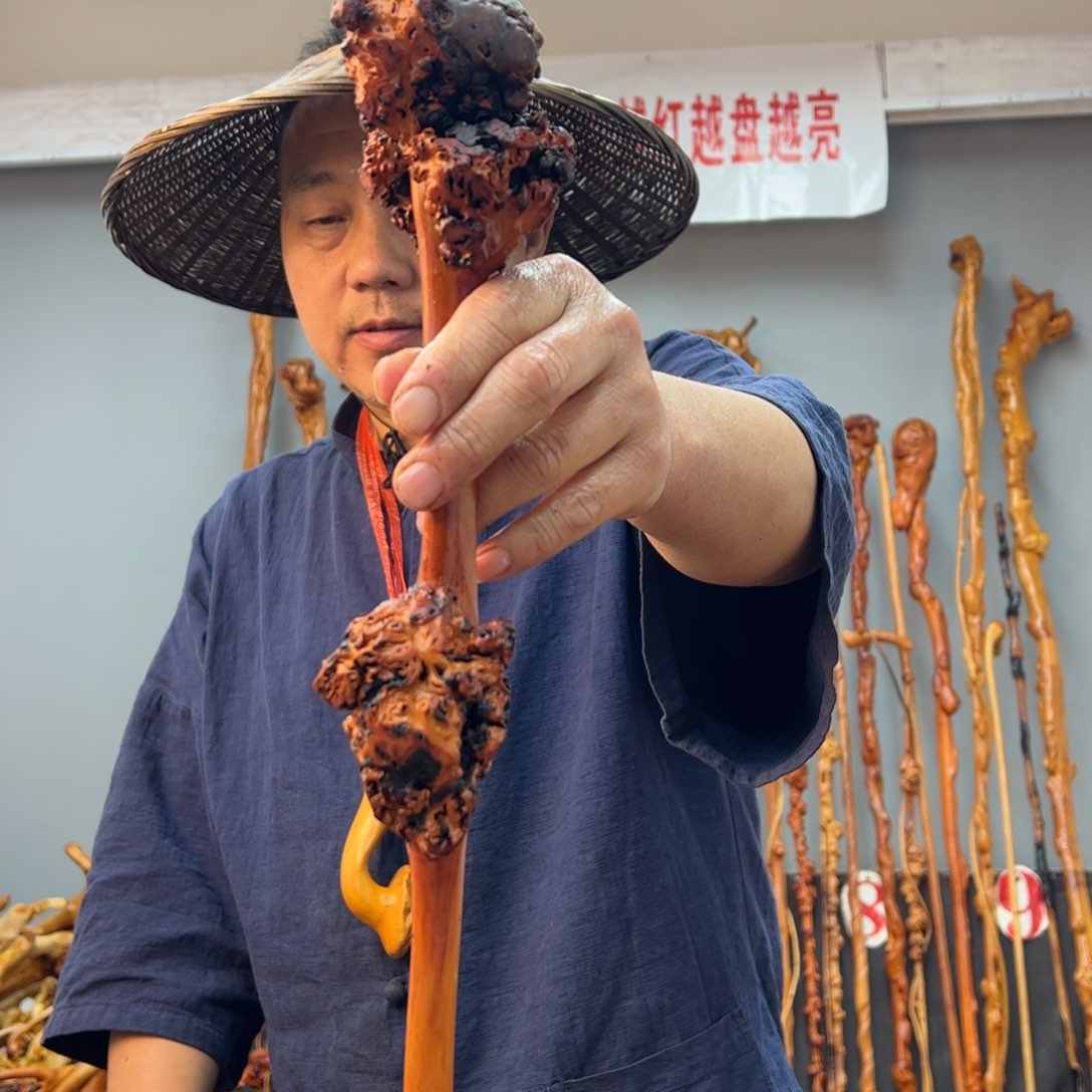 黑果木其他黑果木598