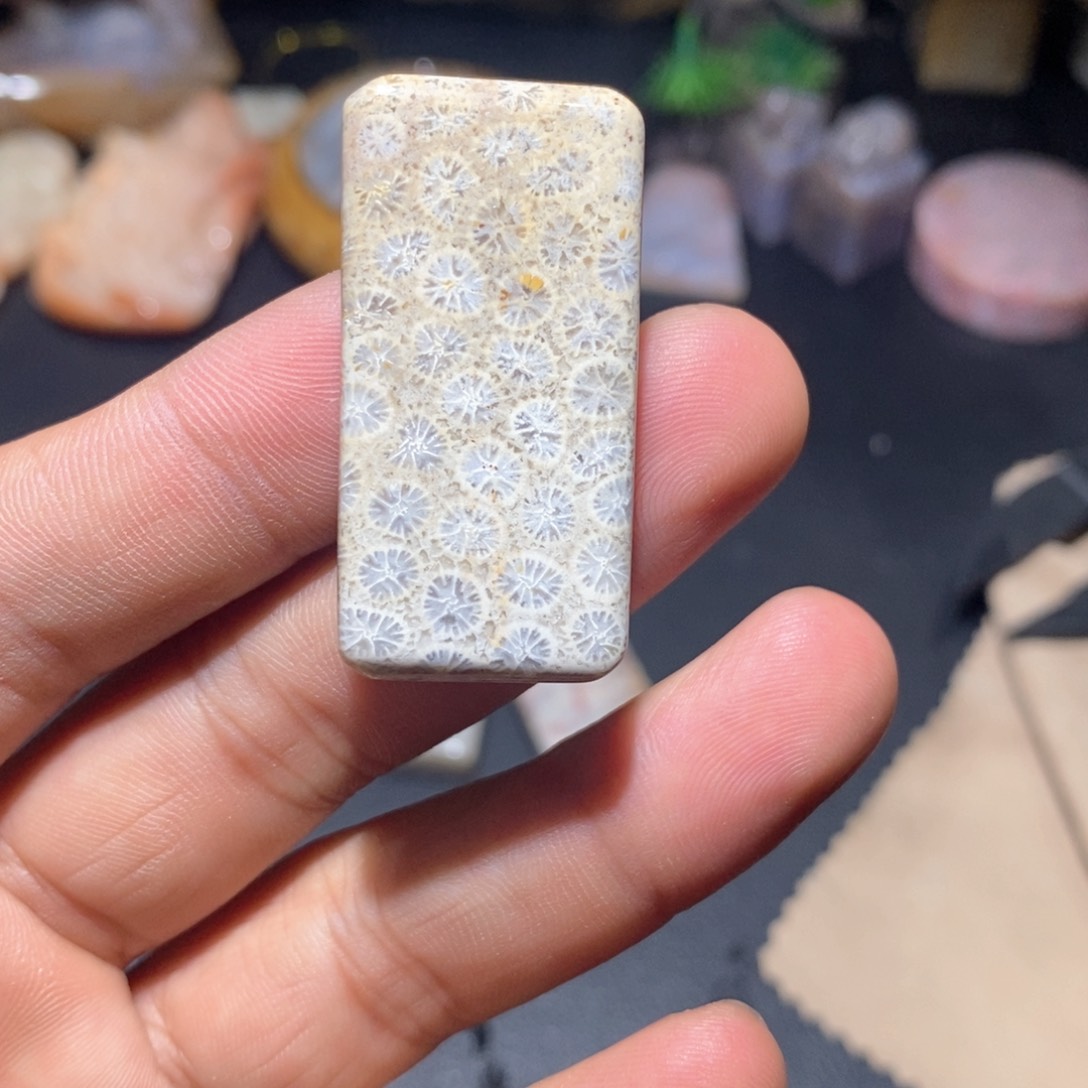 【闪购商品】硅化玉颈饰未镶嵌