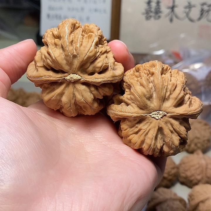 文玩核桃吊坠48粗筋