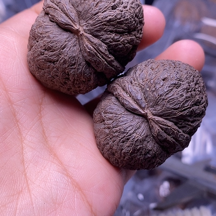 把件文玩核桃   58