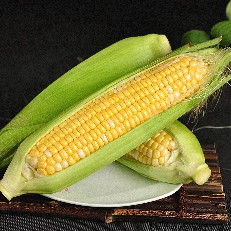 【当季水果玉米】现摘现发新玉米，春玉米露天种植，代餐身材管理玉米河北省
