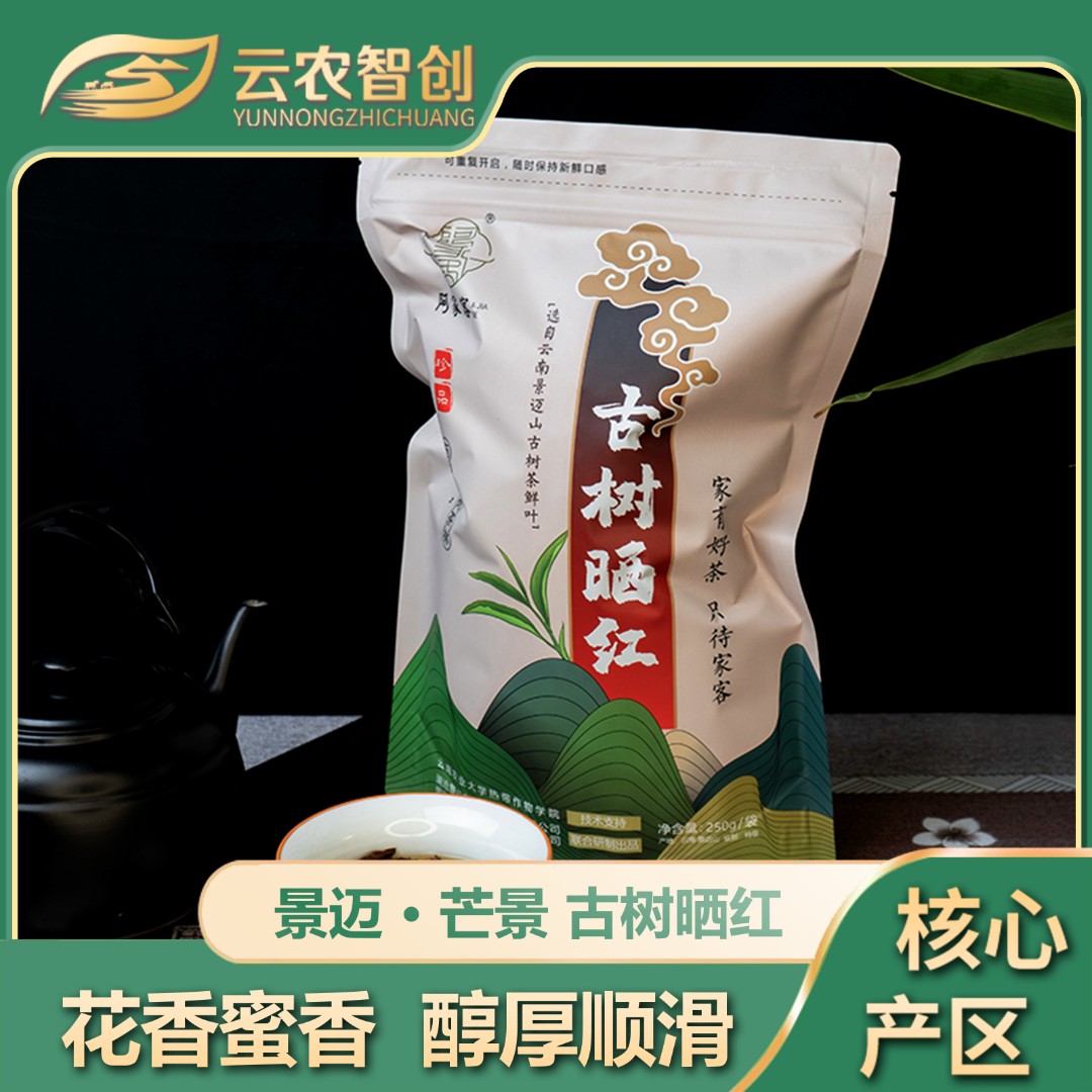 阿家客2025年云南大叶普洱澜沧景迈山甘甜古树晒红袋装250g