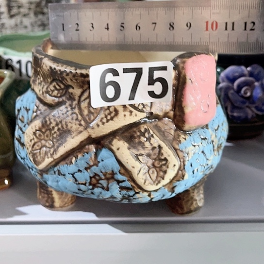 多肉植物花盆花盆