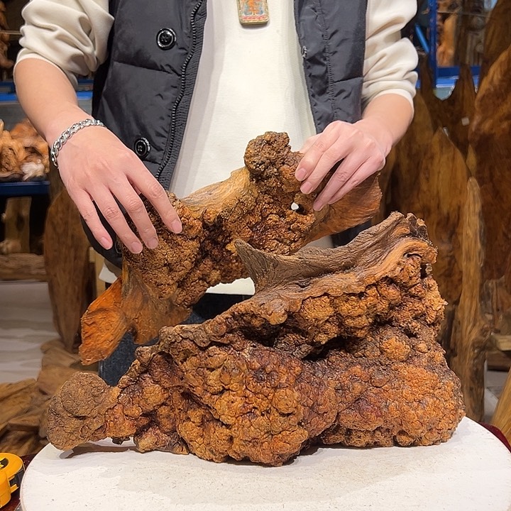 松木（琥珀木）悟****曼