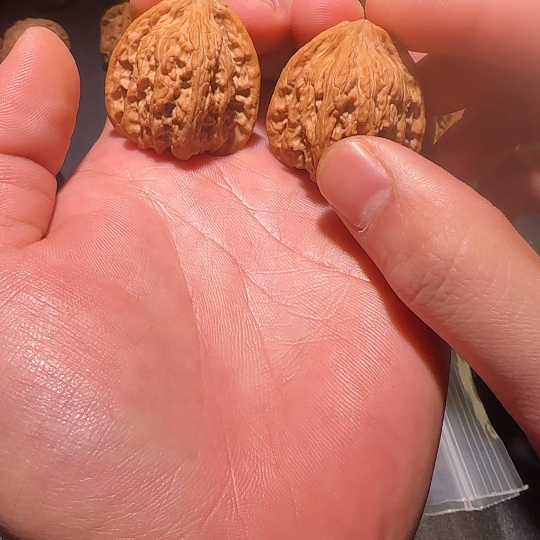 吊坠文玩核桃密纹